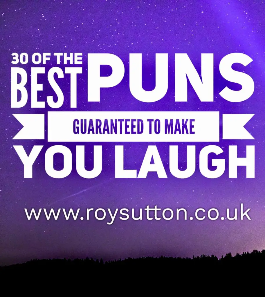 30 Of The Best Puns Guaranteed To Make You Laugh Roy Sutton 