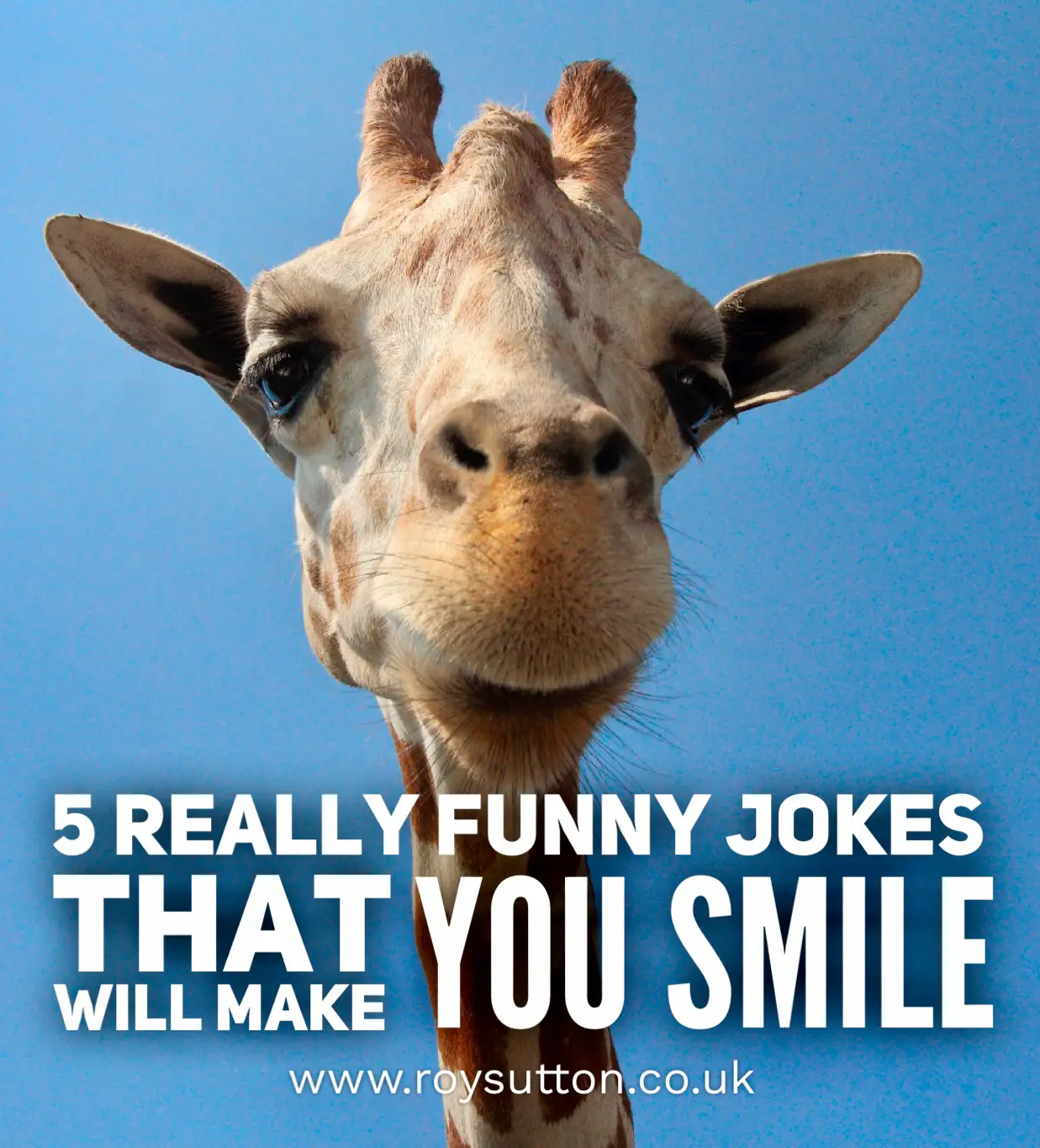 5 Really Funny Jokes That Will Make You Smile Roy Sutton