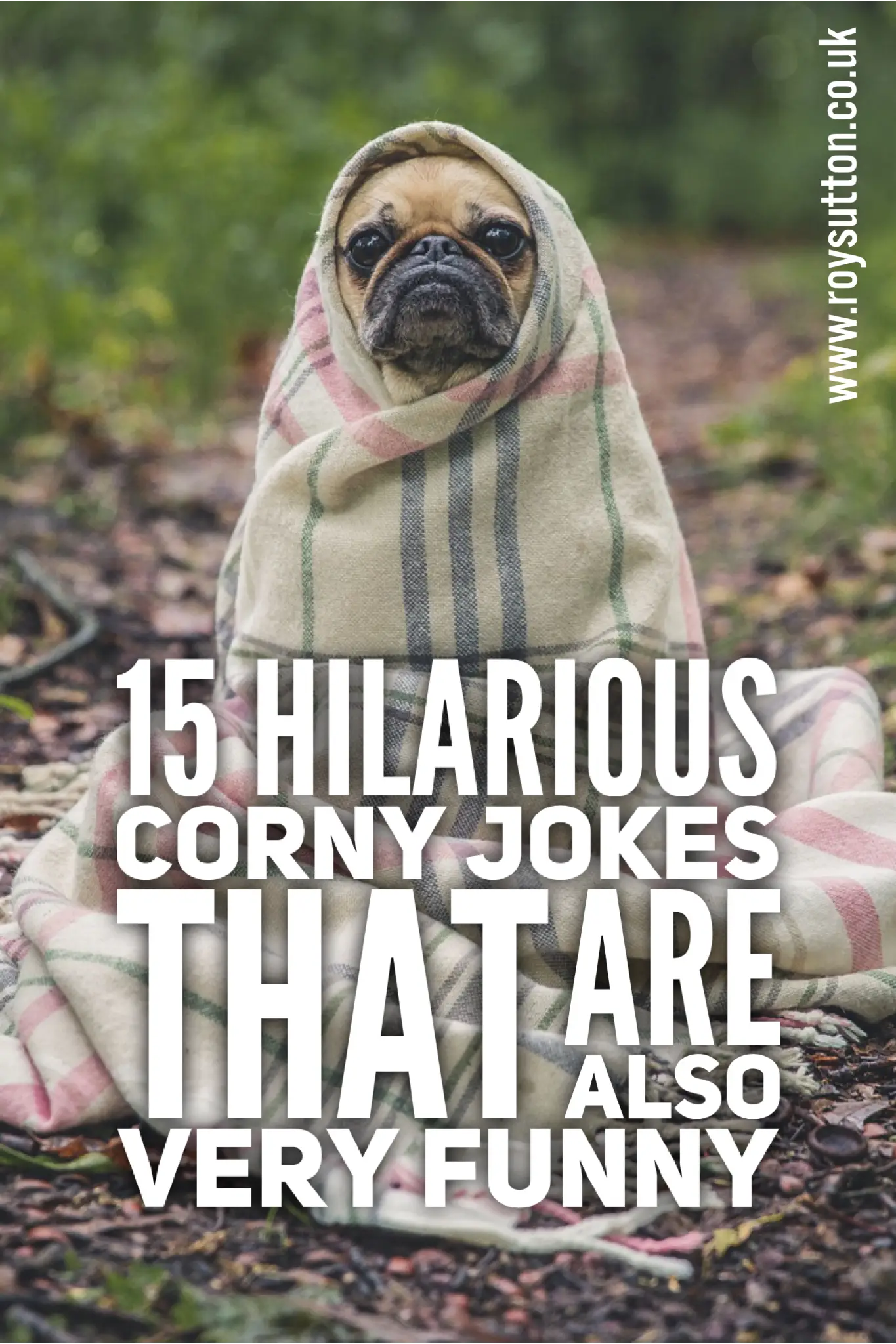 15 hilarious corny jokes guaranteed to make you smile - Roy Sutton