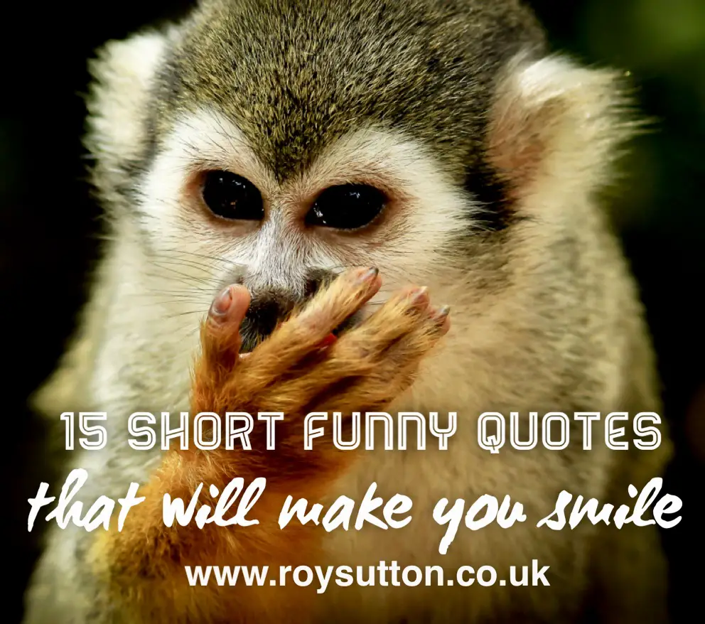 15 short Funny Quotes That Will Make You Smile Roy Sutton