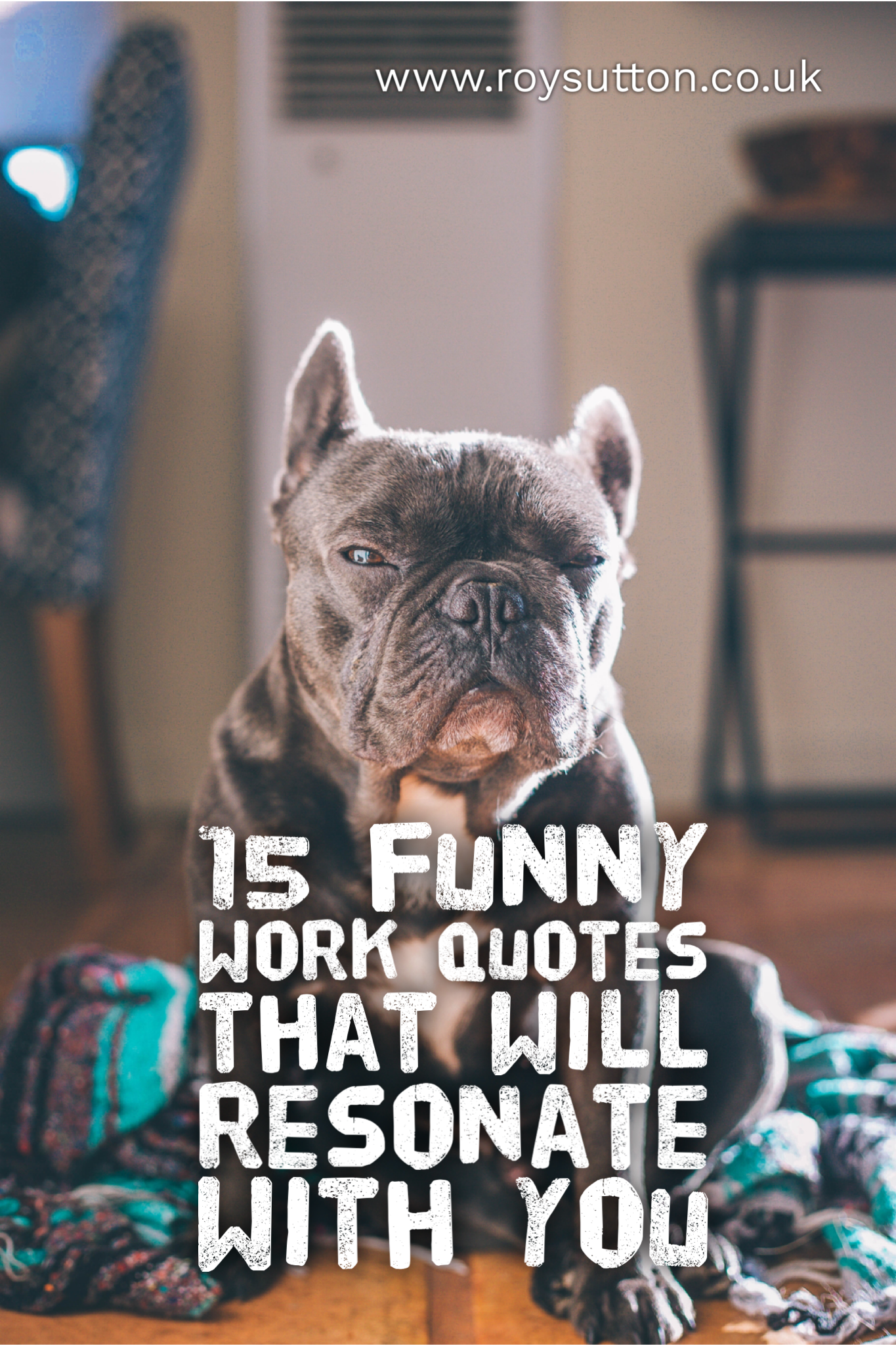15 funny work quotes that will certainly resonate with you - Roy Sutton