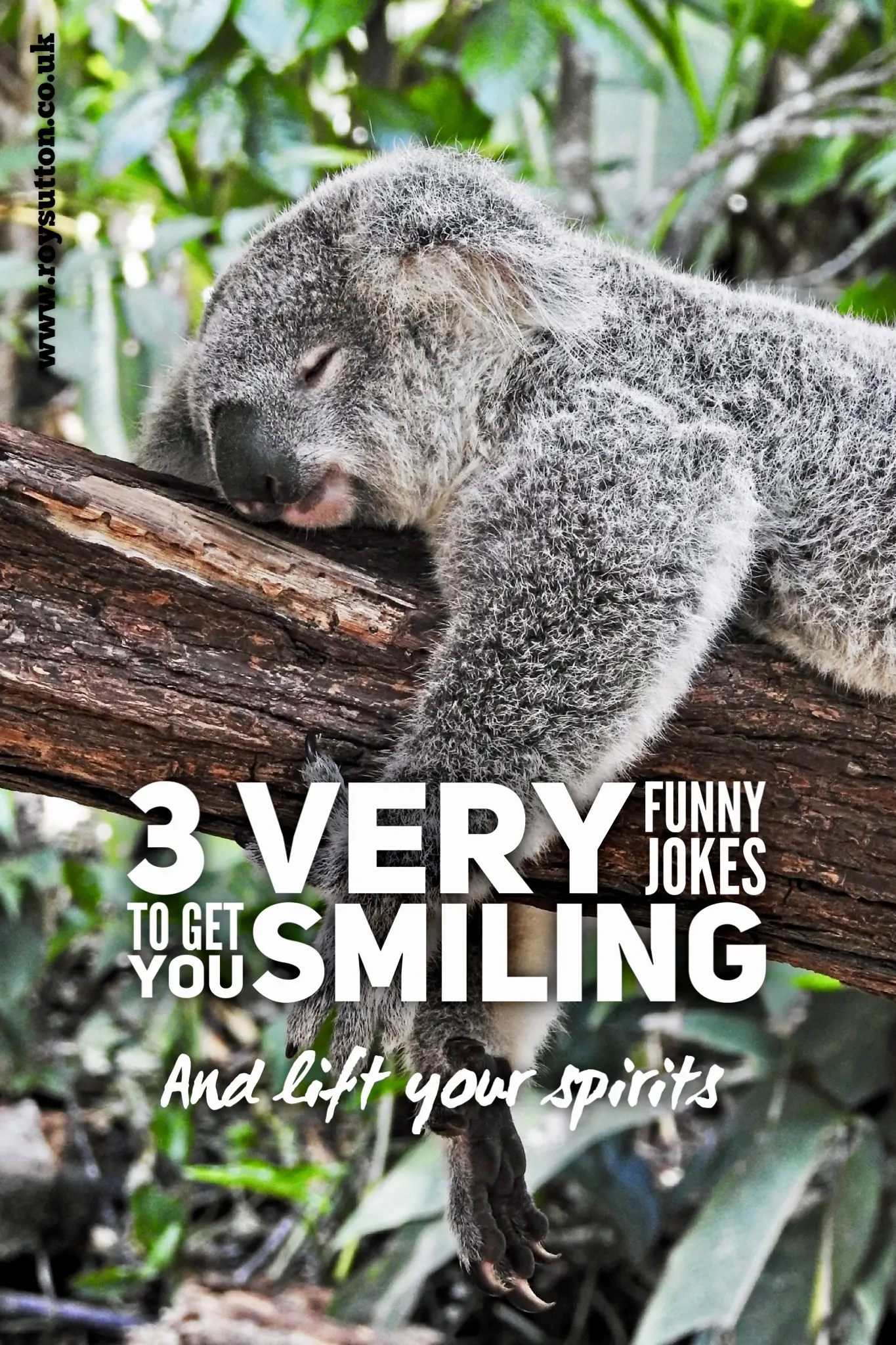 3 very funny jokes to get you smiling - Roy Sutton