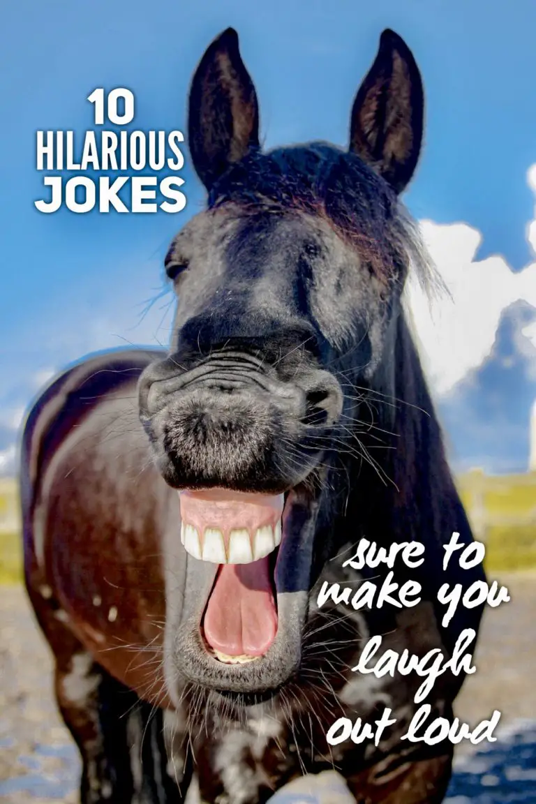 Hilarious Jokes Sure To Make You Laugh Out Loud 1 768x1152 