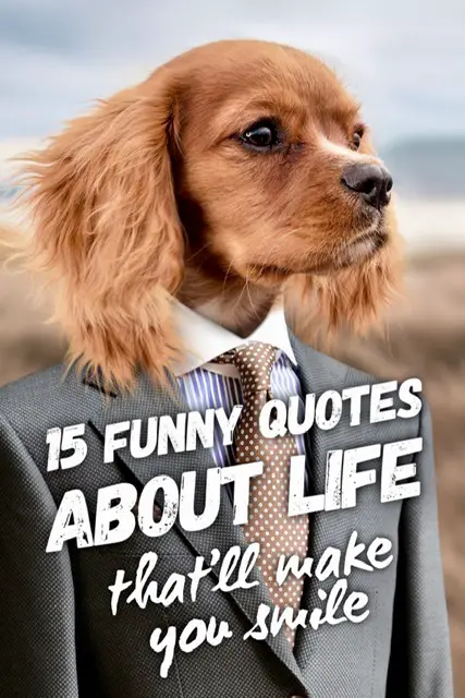 funny quotes about life