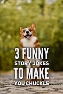 Funny Story Jokes
