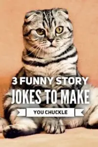 Funny Story Jokes