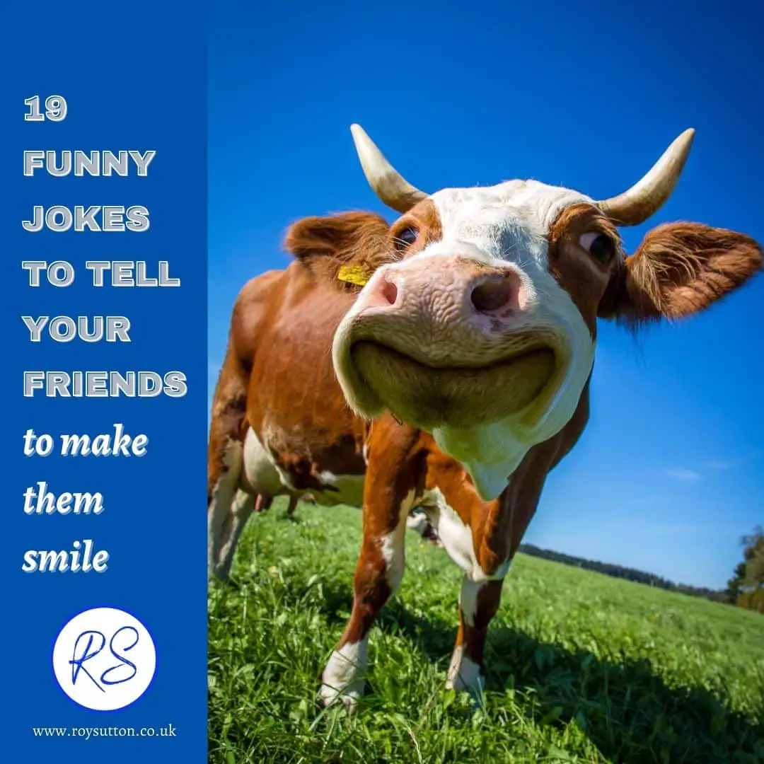 19 funny jokes to tell your friends - Roy Sutton