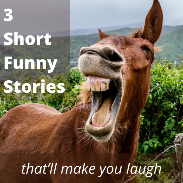 3 short funny stories that’ll make you laugh - Roy Sutton