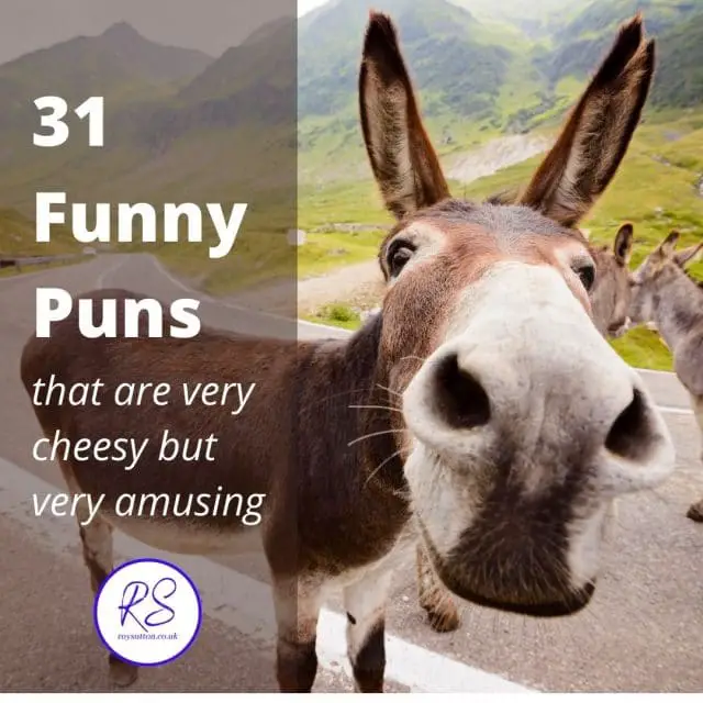 31 funny puns that are very cheesy but very amusing - Roy Sutton