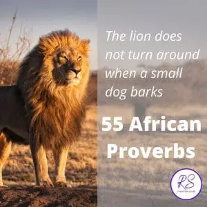 55 African Proverbs