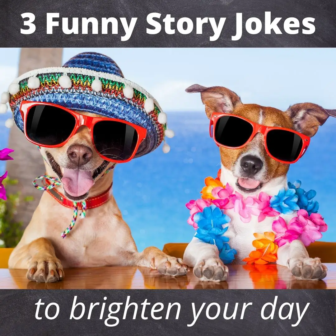 3 short funny story jokes to brighten your day - Roy Sutton