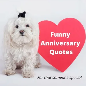 funny-anniversary-quotes-3