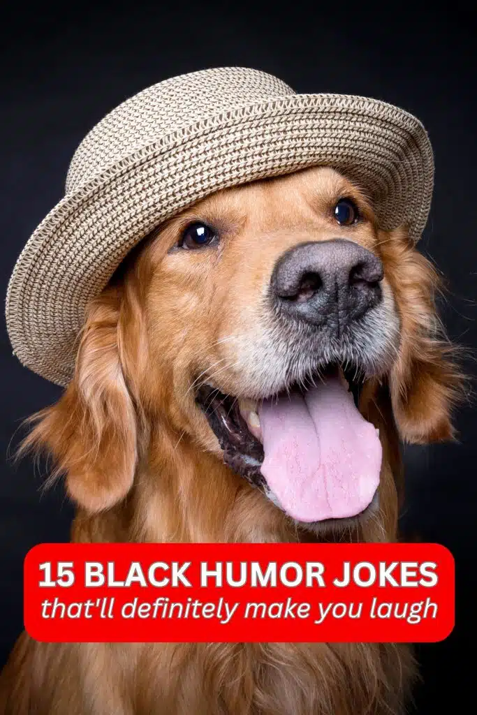 15 black humor jokes that'll definitely make you laugh - Roy Sutton