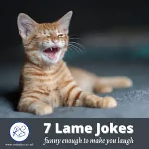 Lame Jokes