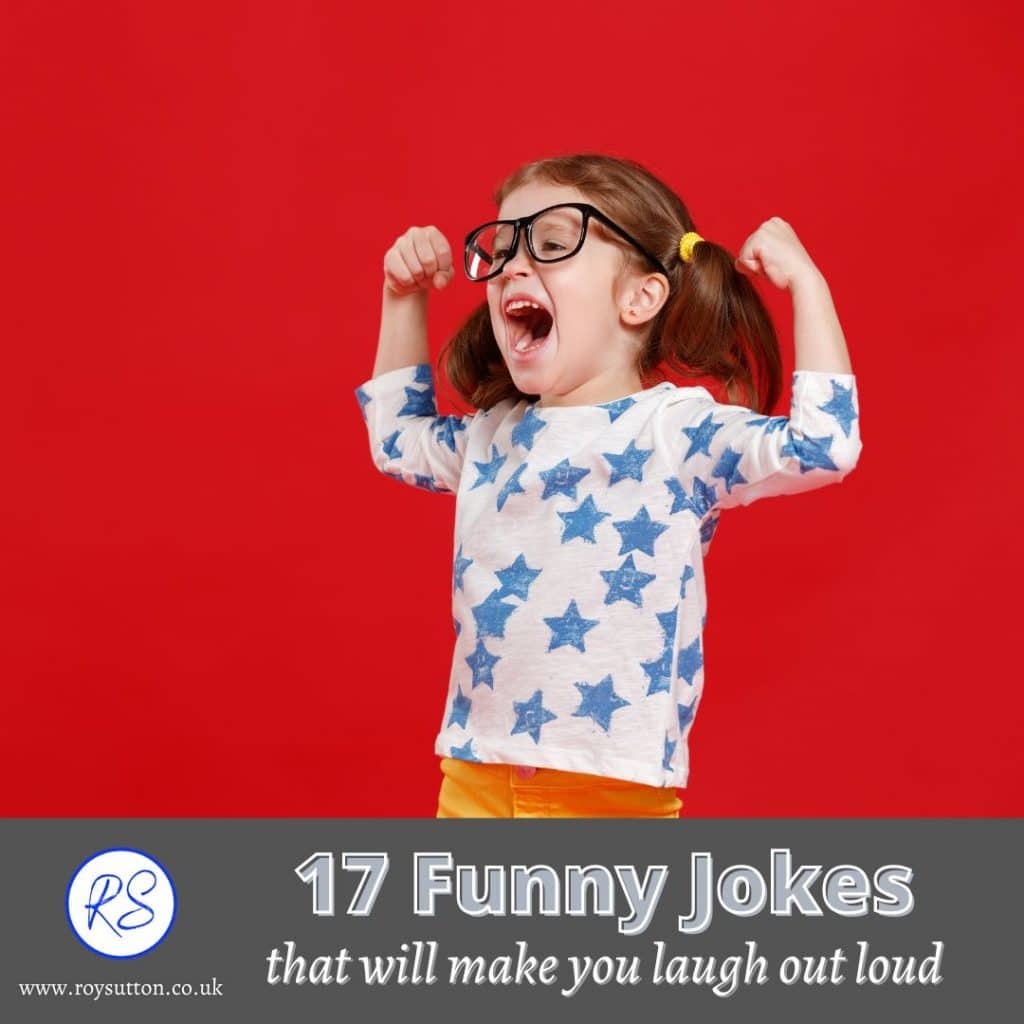 17 jokes that will make you laugh out loud - Roy Sutton