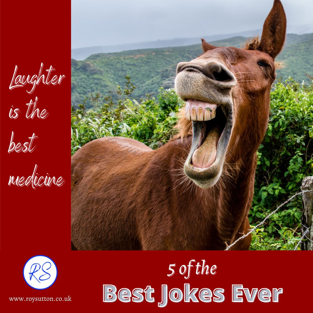 5 of the best jokes ever just for you Roy Sutton