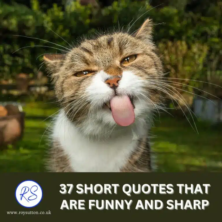 37 short quotes that are funny and sharp - Roy Sutton