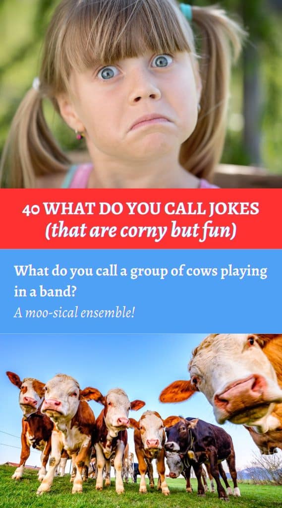 40-what-do-you-call-jokes-that-are-corny-but-fun-roy-sutton